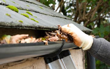 gutter cleaning Horsley