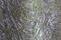 Horsley fibreglass roof work